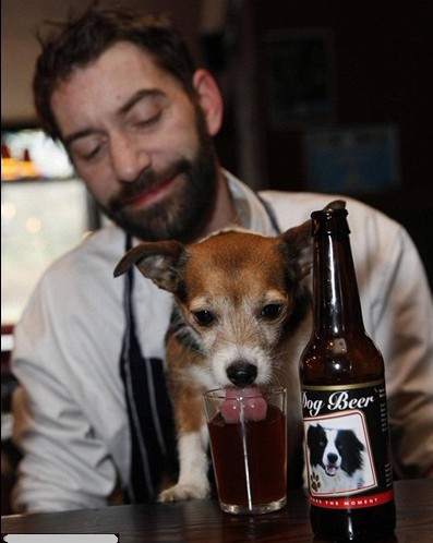 　　英酒吧推寵物狗專用啤酒　愛犬也可“飲酒作樂