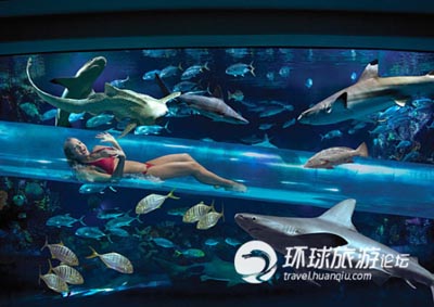 拉斯維加斯金磚酒店設(shè)計(jì)  和鯊魚來一次親密接觸