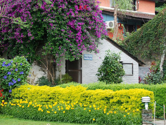 花間魅影 費瓦湖畔最美“魚尾”酒店設計欣賞