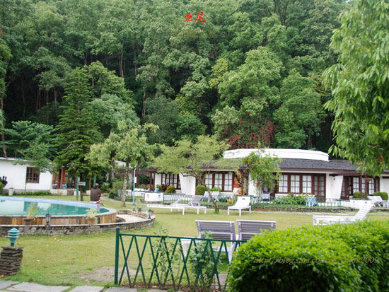 花間魅影 費瓦湖畔最美“魚尾”酒店設計欣賞