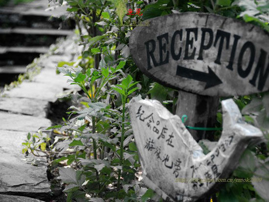 花間魅影 費瓦湖畔最美“魚尾”酒店設計欣賞