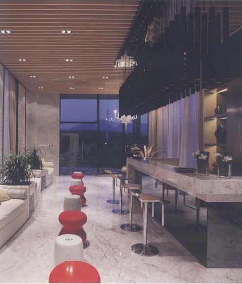 高級(jí)會(huì)所設(shè)計(jì)案例說明