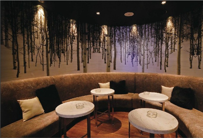 冰與火 上海Absolut Icebar酒吧設(shè)計